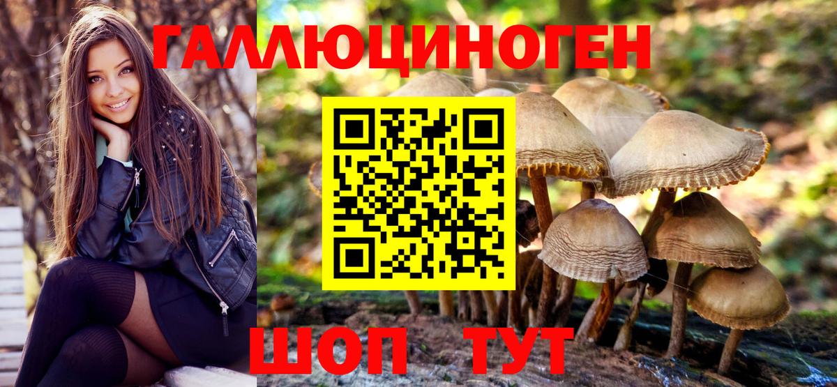 Галлюциногенные грибы Magic Shrooms Мурманск