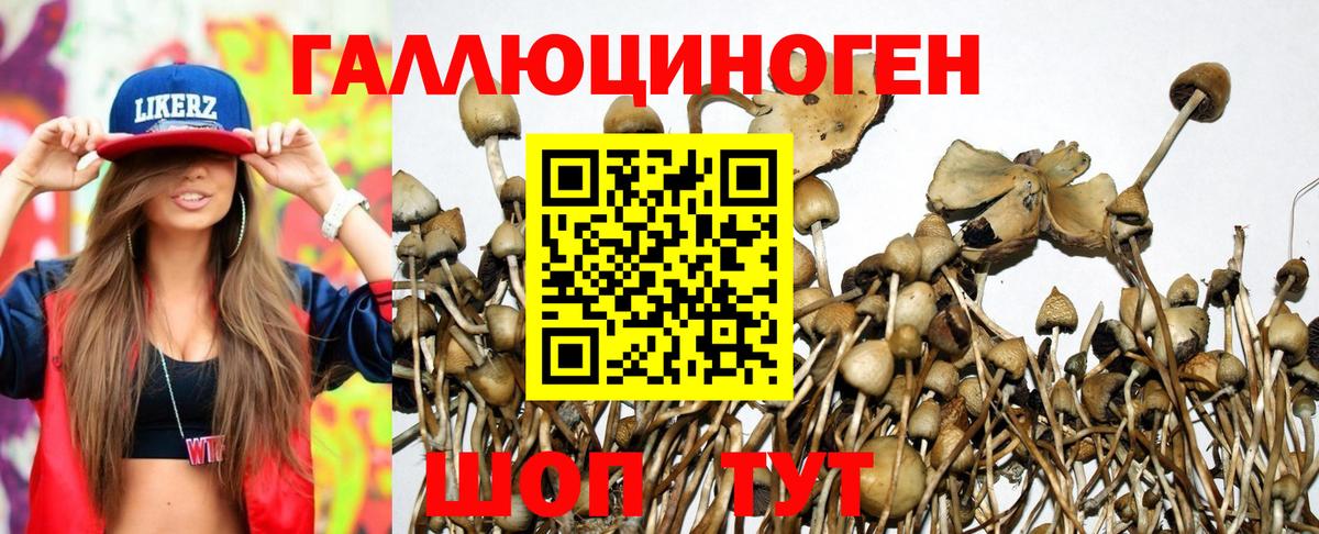 Галлюциногенные грибы мухоморы  Вход с VPN  Мурманск  Псилоцибиновые грибы Psilocybine cubensis 